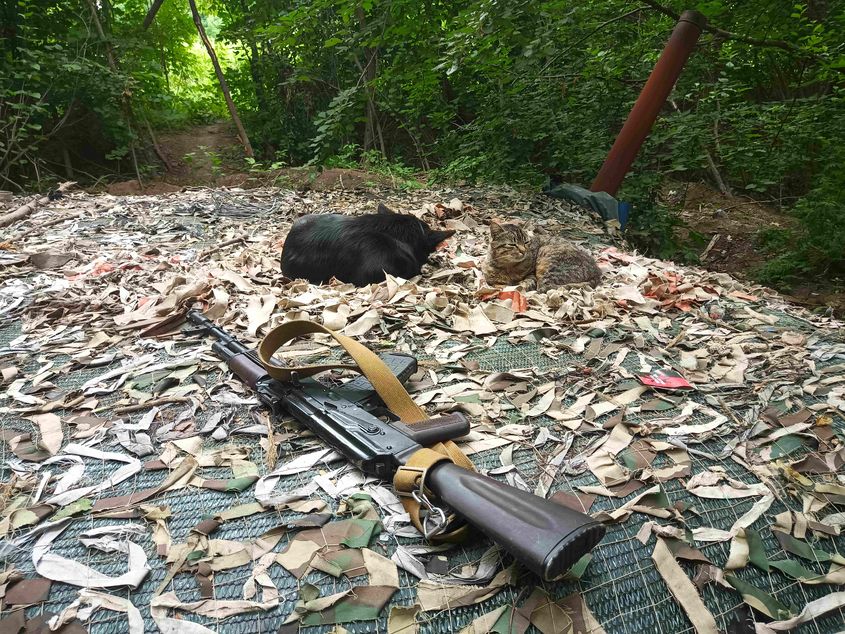 IMG_20220623_091559_190.jpg